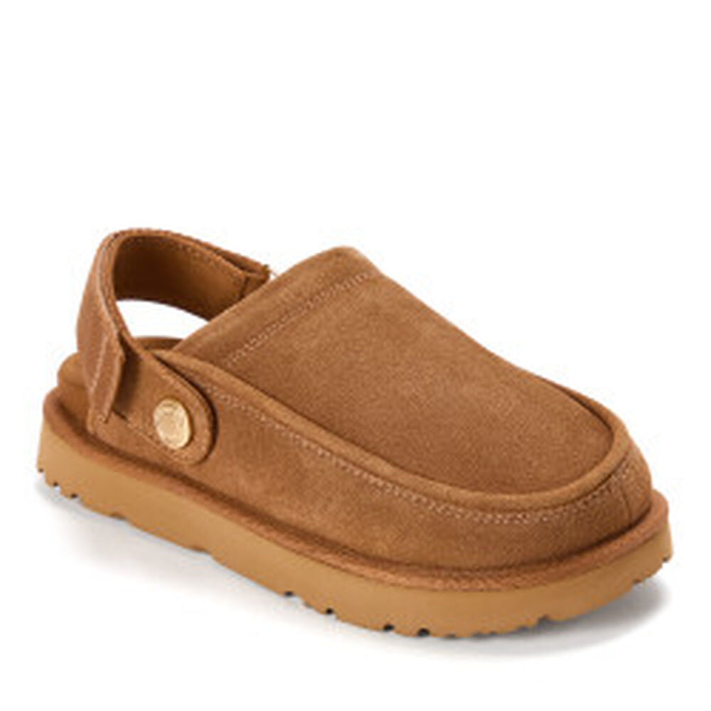 Chestnut,6