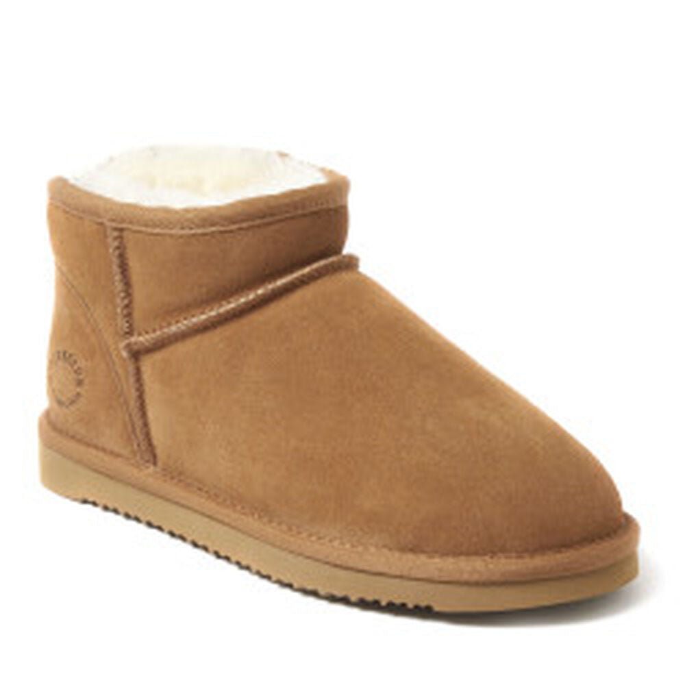 Chestnut,5,Medium