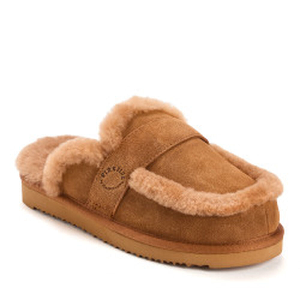 Chestnut,6