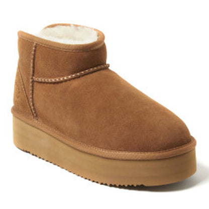 Chestnut,6