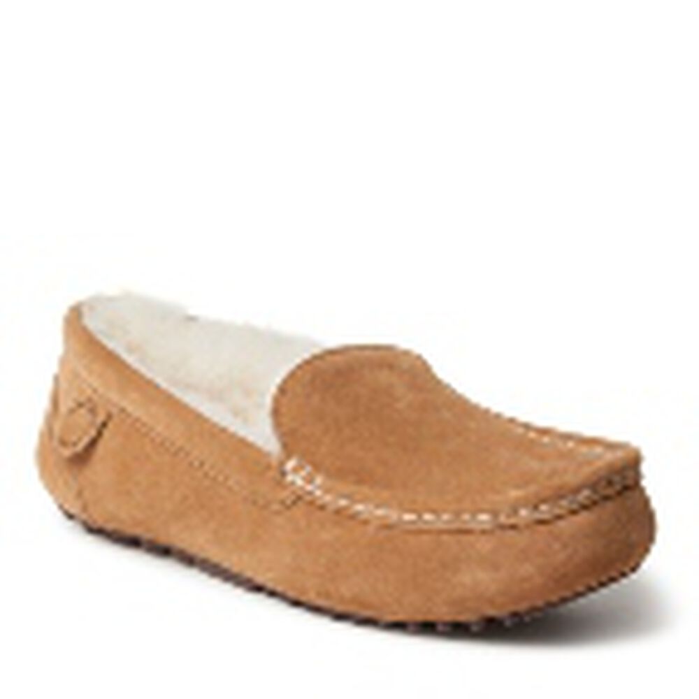 Chestnut,6,Medium