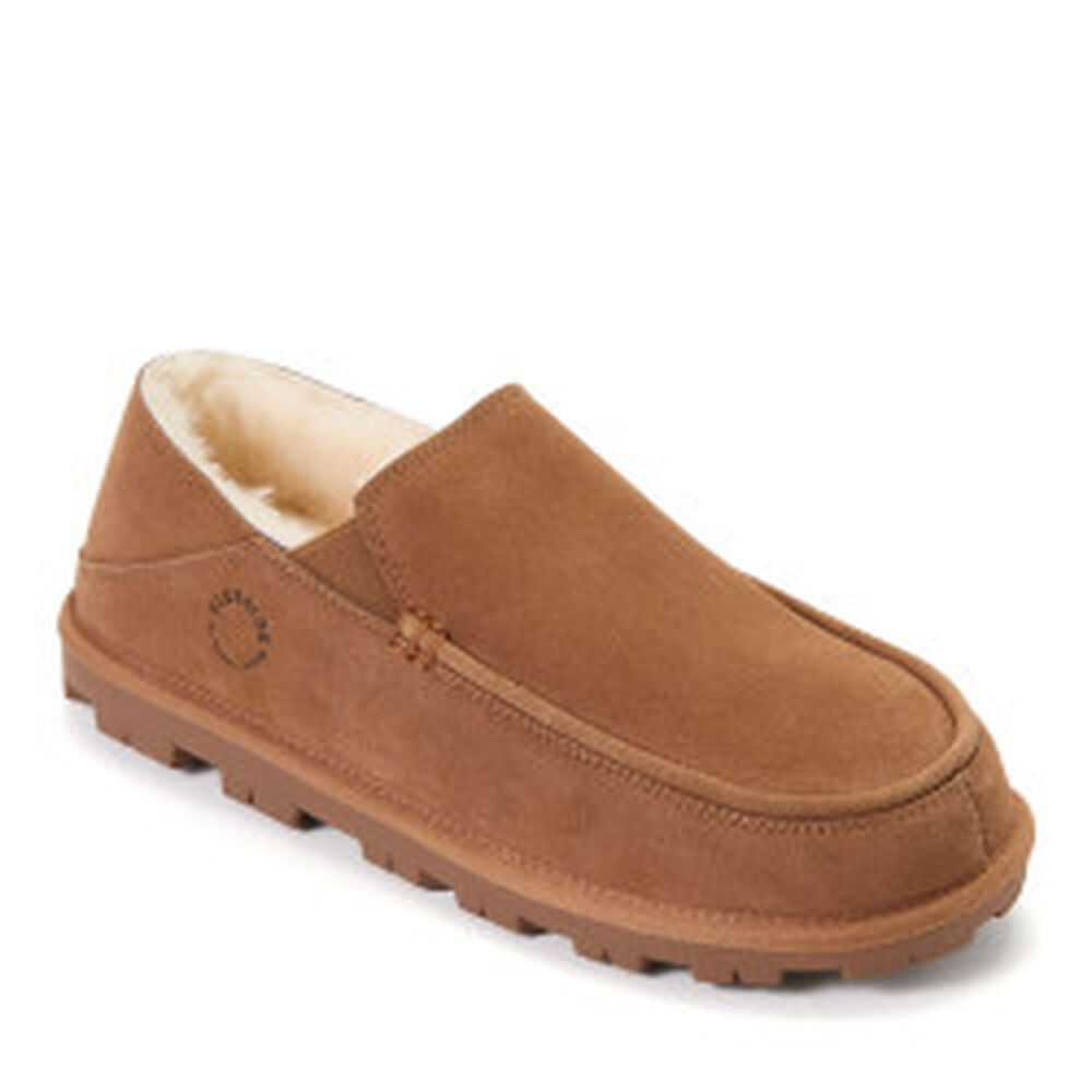 Chestnut,8