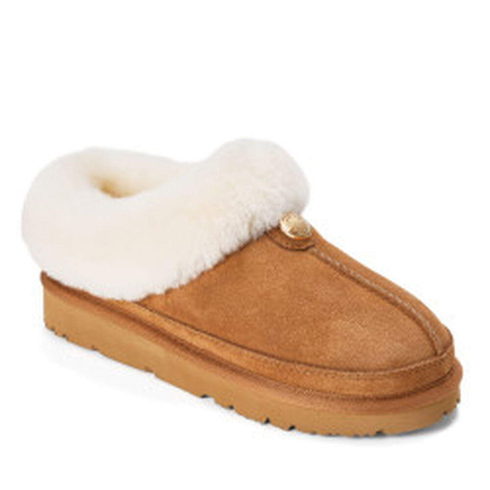 Chestnut,6