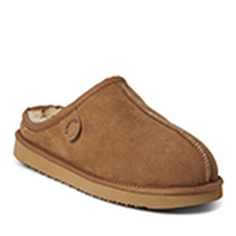 Chestnut,8