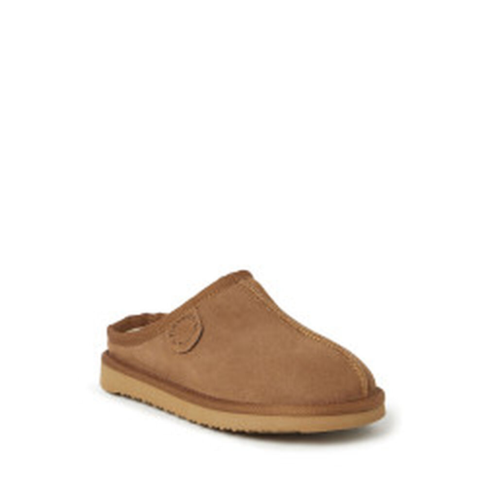 Chestnut,13