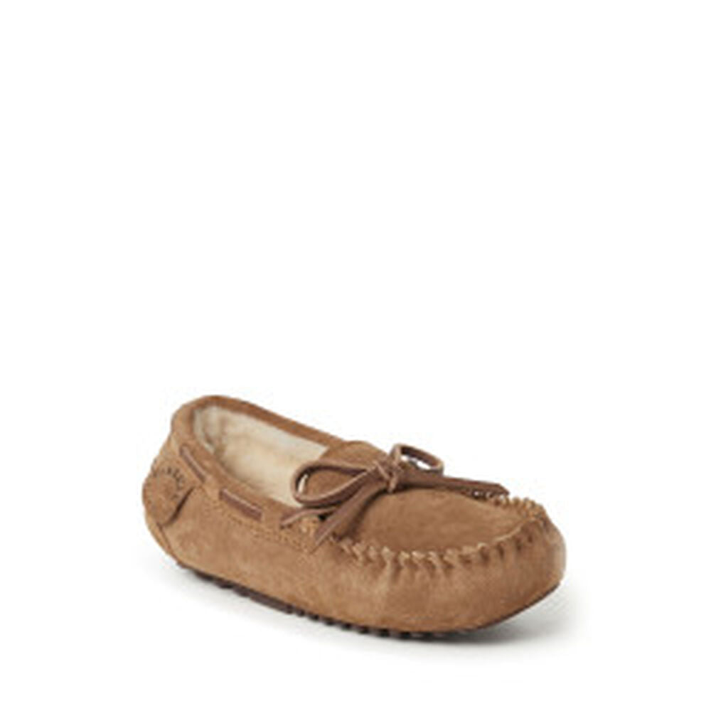 Chestnut,13