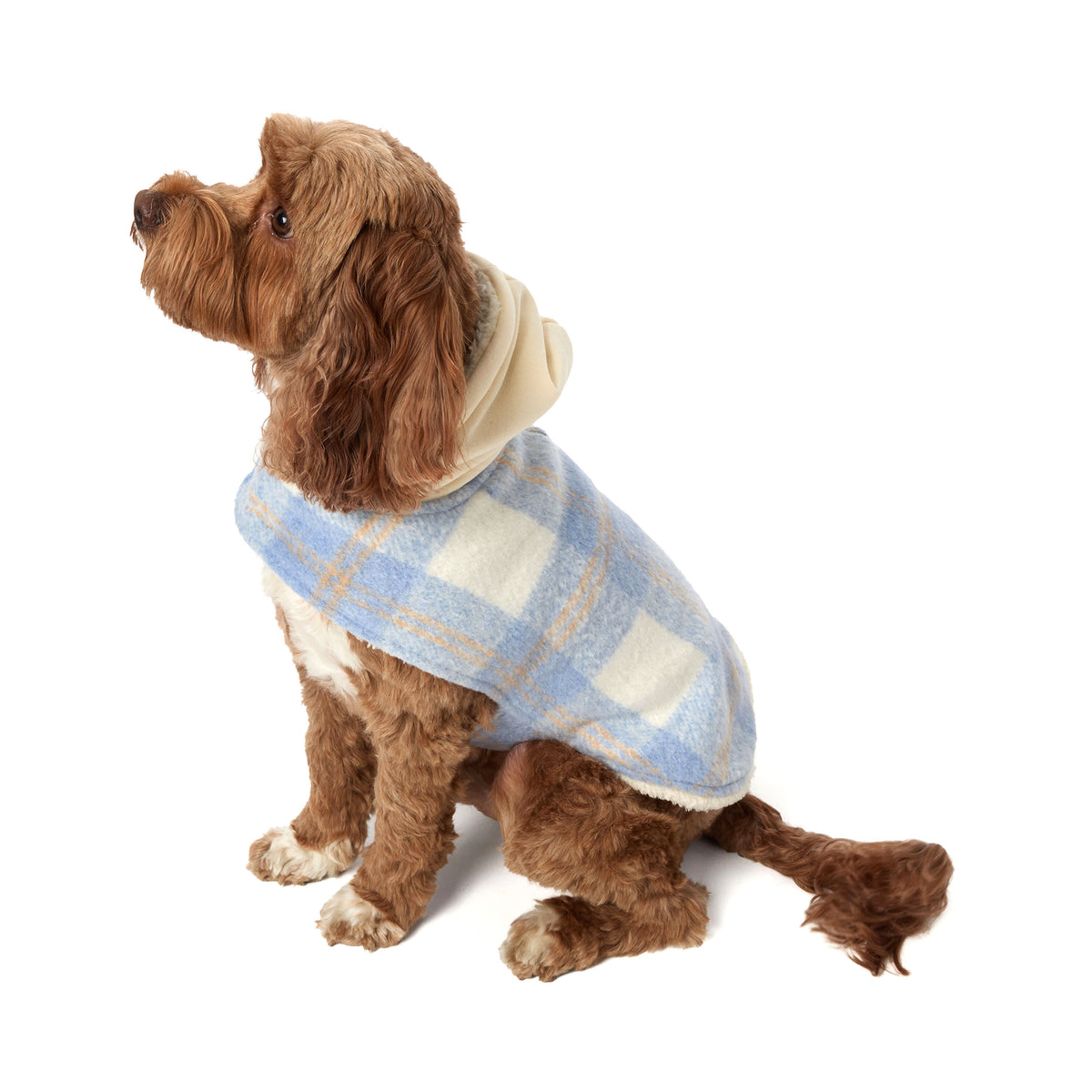 Woven Plaid Dog Jacket | Dearfoams