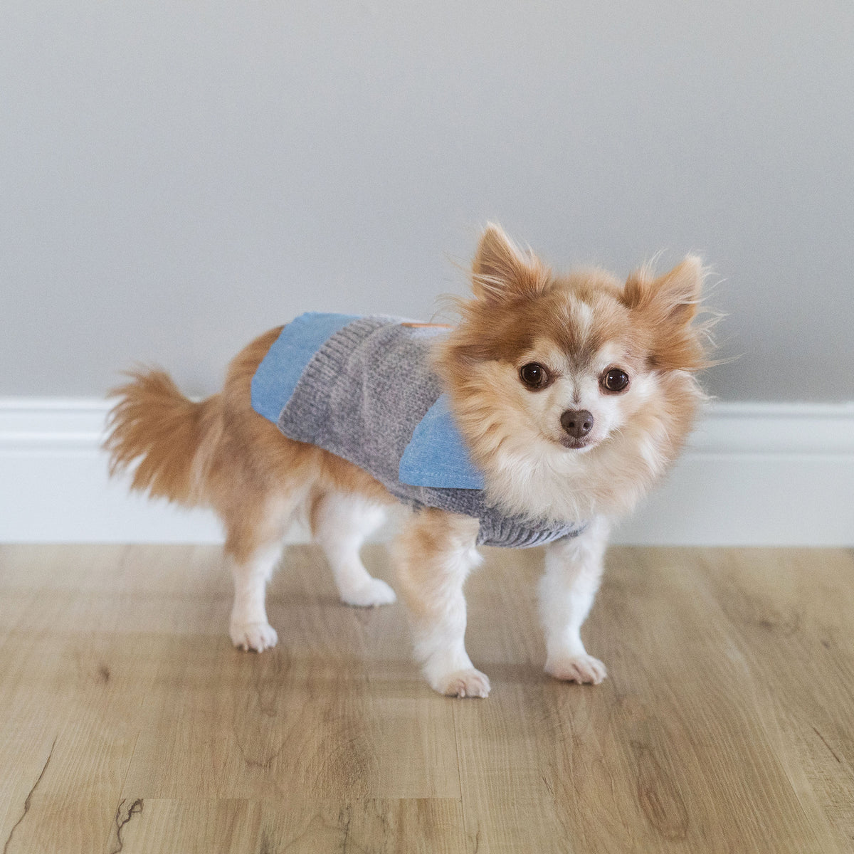 Grey Chenille and Chambray Dog Jacket | Dearfoams