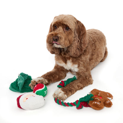 5 Piece Dog Toy Set | Dearfoams