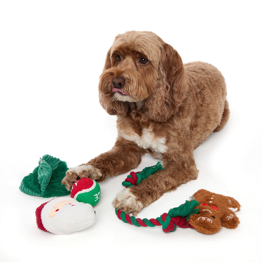 5 Piece Dog Toy Set | Dearfoams