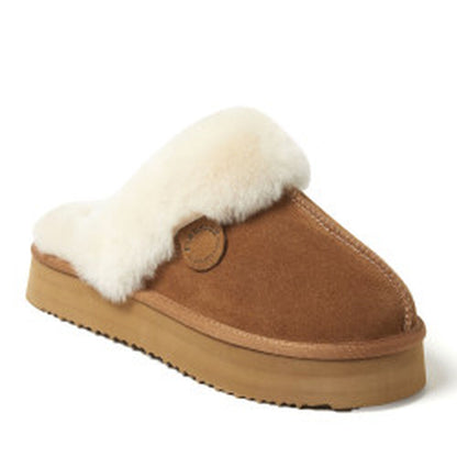 Chestnut,6