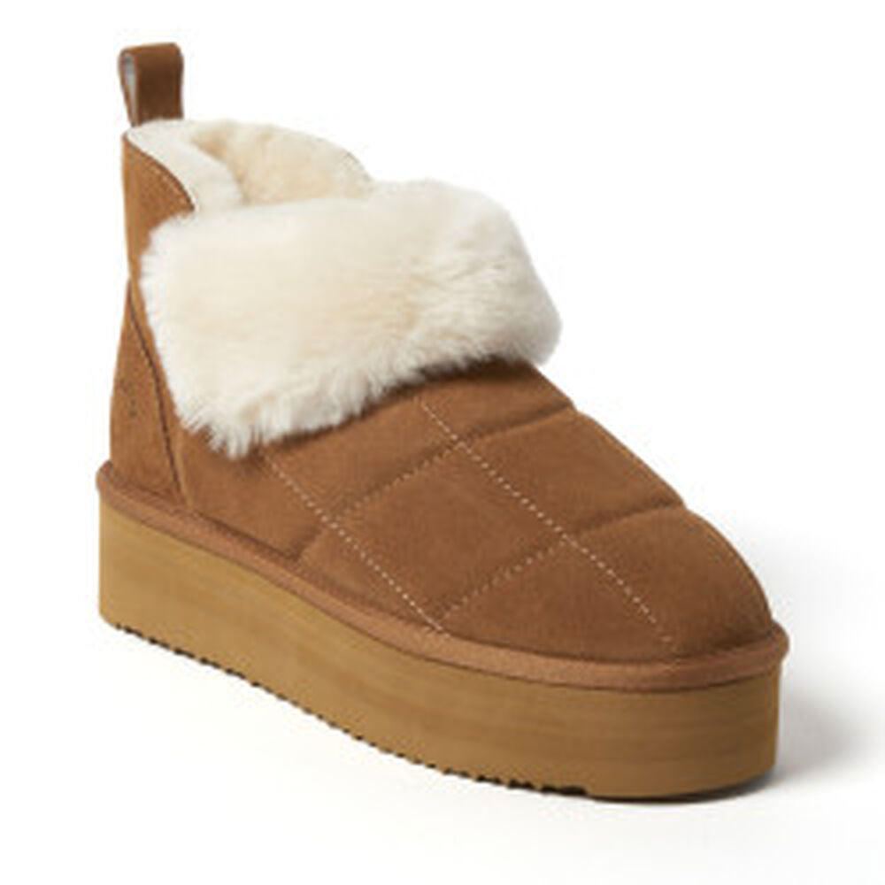 Chestnut,6