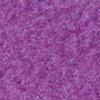 Purple Narwhal
