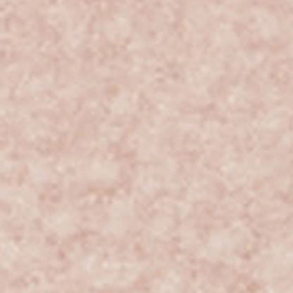 Pink Dinosaur,5-6